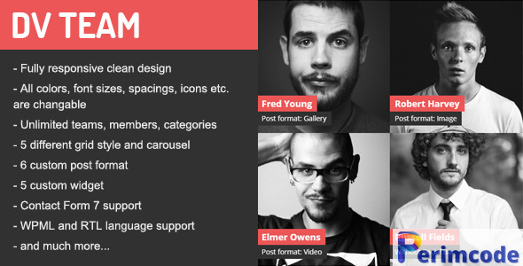 DV Team v2.2 – Responsive Team Showcase WordPress Plugin